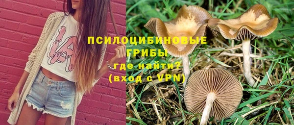 дмт Карпинск