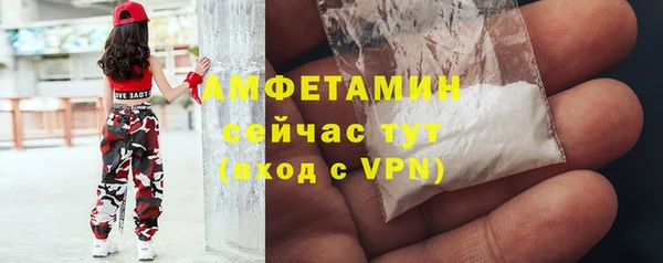 дмт Карпинск