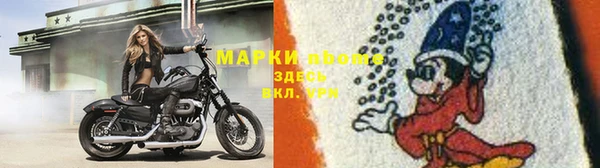 дмт Карпинск