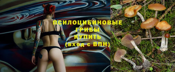 дмт Карпинск