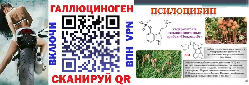 Купить где  Чебоксары  Галлюциногенные грибы Cubensis 